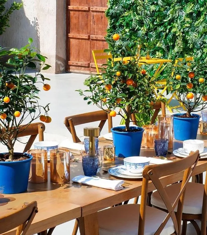Decorative flower green walls framing premium outdoor hospitality furniture for temporary event dining.