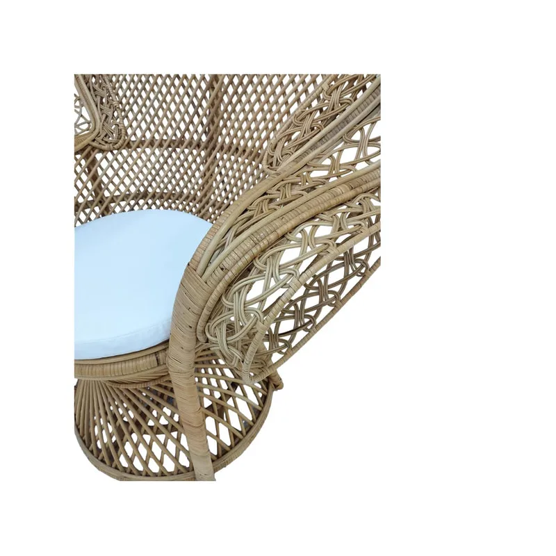 F-AC203-NT Eloria chair with natural cane frame 