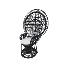 Peacock Chair - Black ​​ ​F-AC204-BL