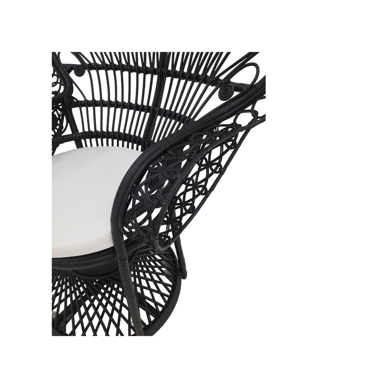 F-AC204-BL Peacock chair with natural cane frame in black
