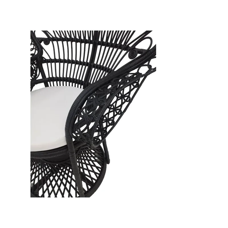 F-AC204-BL Peacock chair with natural cane frame in black