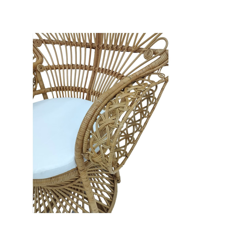 F-AC204-NT Peacock chair with natural cane frame 