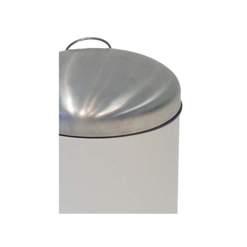 F-BI165-SI Type 5 Stainless steel bin in silver with a foot pedal