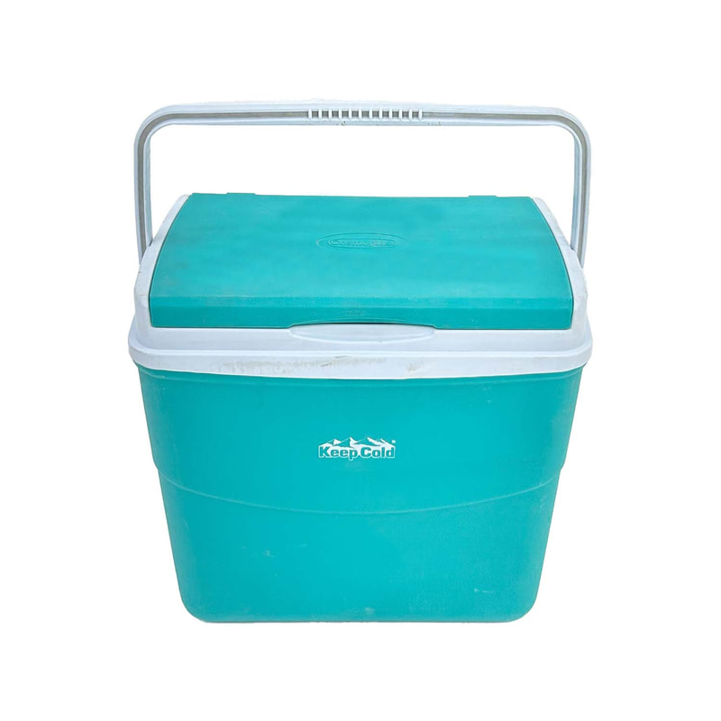 F-CB101-GR Type 1 Cosmoplast cooler box in green (30L)