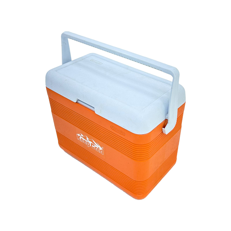 F-CB103-OR Type 3 Cosmoplast cooler box in orange (30L)