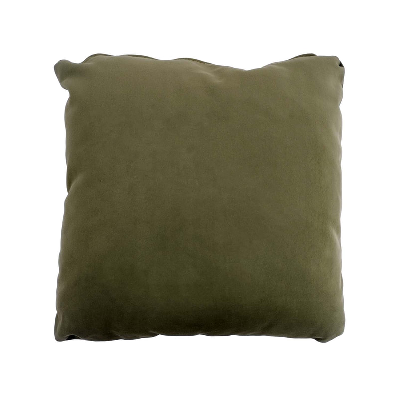 F-CU106-SG Carli cushion in sage green velvet