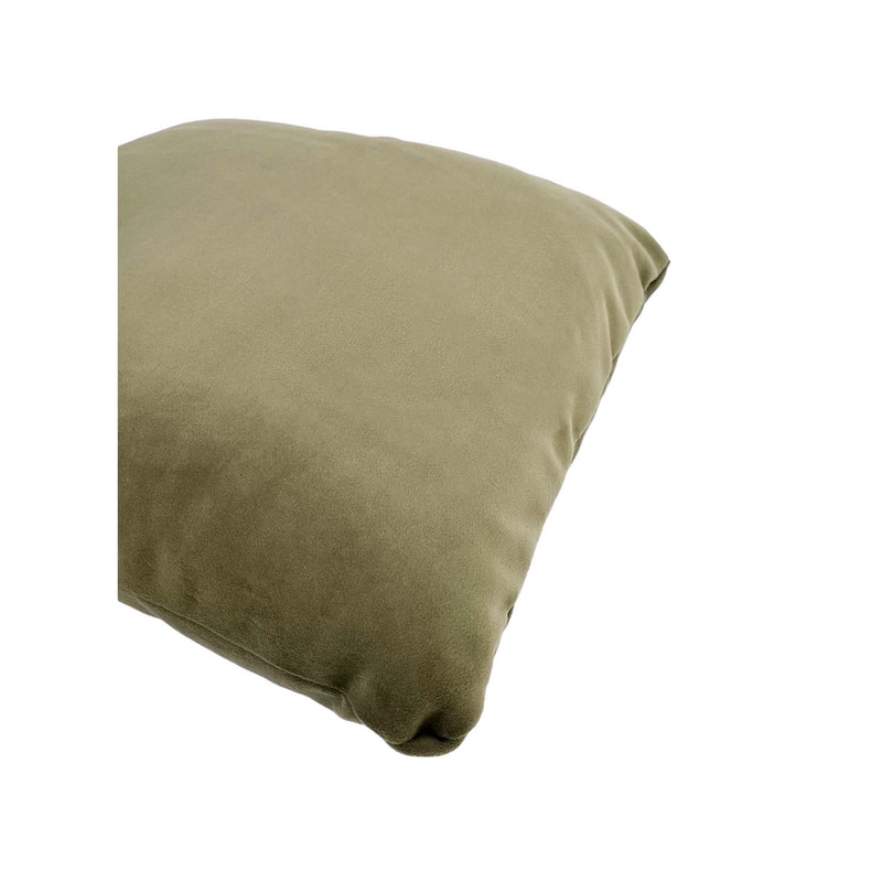 F-CU106-SG Carli cushion in sage green velvet