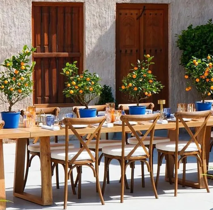 Natural timber dining tables and Sloan chairs creating an intimate outdoor hospitality environment.