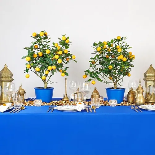 Outdoor dining furniture styled with blue accessories within Dubai's historic Al Bastakiya district.